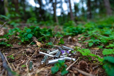 Çimenlere atılmış tükenmiş piller, bir ağaçta. Ekoloji ve çevre koruma. Kirletici atıkların bertaraf edilmesi.