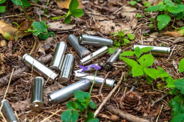 Çimenlere atılmış tükenmiş piller, bir ağaçta. Ekoloji ve çevre koruma. Kirletici atıkların bertaraf edilmesi.