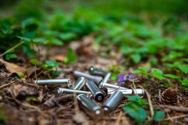 Çimenlere atılmış tükenmiş piller, bir ağaçta. Ekoloji ve çevre koruma. Kirletici atıkların bertaraf edilmesi.