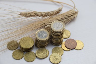 Temiz bir yüzeyde buğday kulakları ve yanında da bozuk paralar. Tahıl maliyeti, fiyat artışı, tahıl fiyatları. 