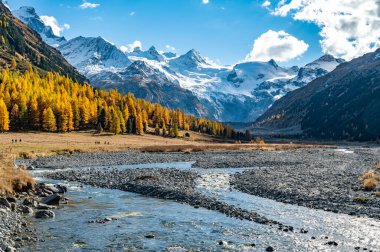 İsviçre, Roseg Vadisi 'nin sonbahar manzarası, ağaçlar ve sonbahar renkleriyle.