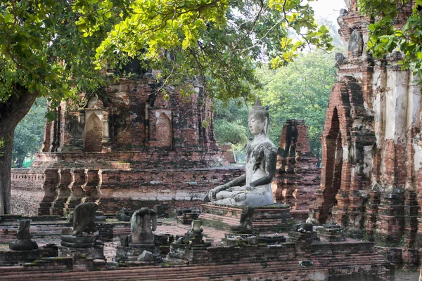 Asien thailand ayuthaya historischer park tempel — Stockfoto