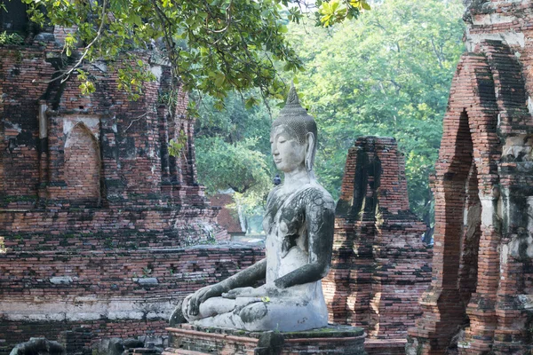 Asien Thailand Ayuthaya historisk Park tempel — Stockfoto