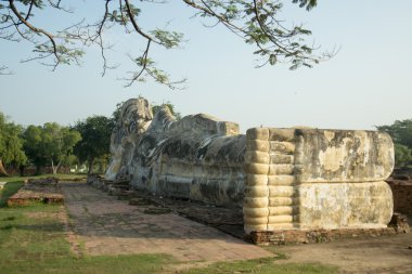 WAT Lokaya Sutha Tapınağı