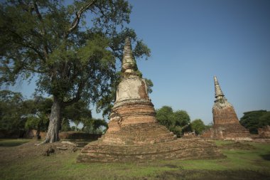 ne phra mahathat