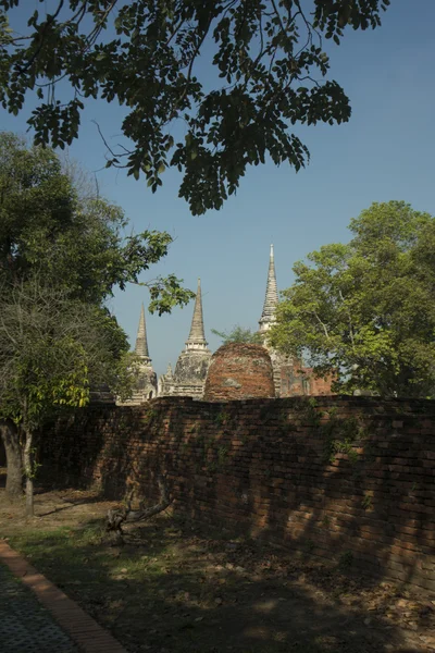 Wat Phra Mahathat — Zdjęcie stockowe