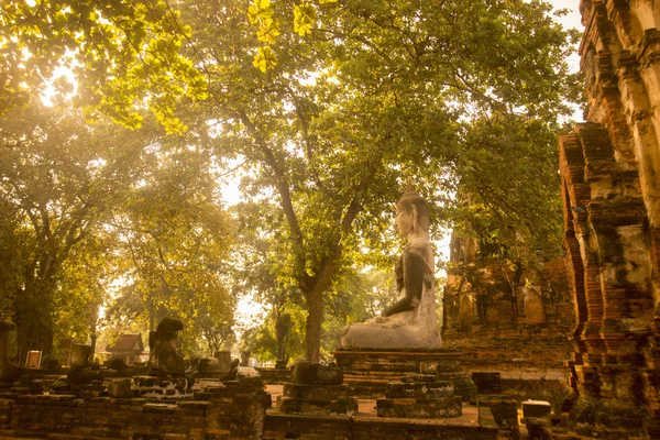 Asien thailand ayuthaya historischer park tempel — Stockfoto