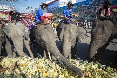 Filler ve İnsanlar Fil Meydanı'nda