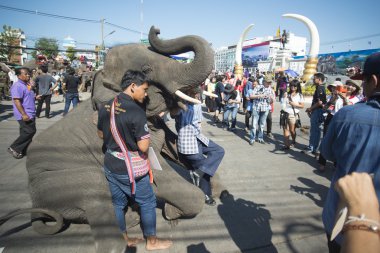 Filler ve İnsanlar Fil Meydanı'nda