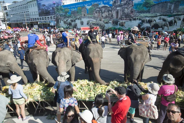 Elephants and People at the Elephant Square