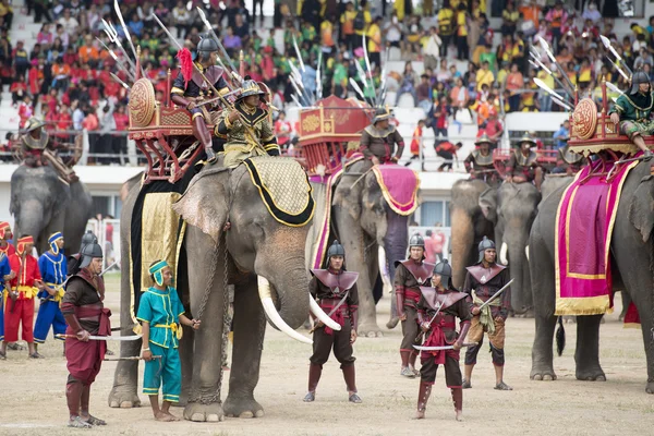 Grote olifant show — Stockfoto