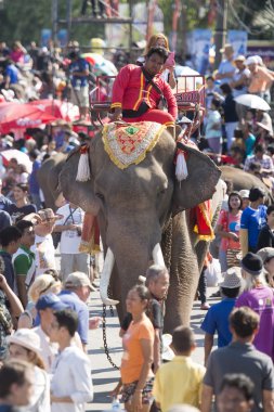 Filler ve İnsanlar Fil Meydanı'nda