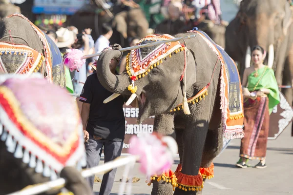Слоны и люди на площади Слонов — стоковое фото