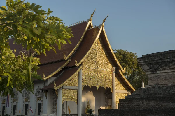 Wat chedi Luang — Stock fotografie