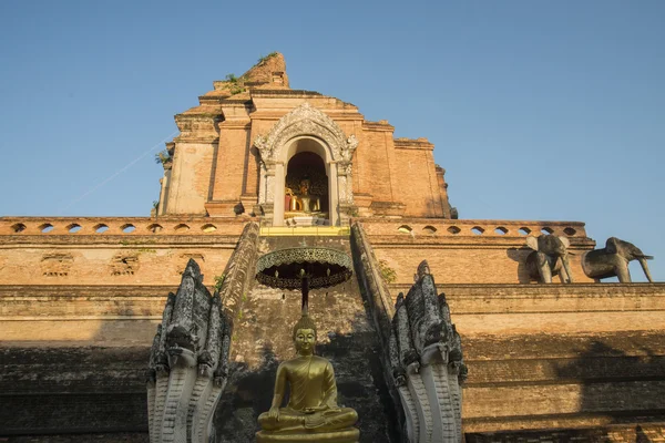 Wat chedi Luang — Foto de Stock