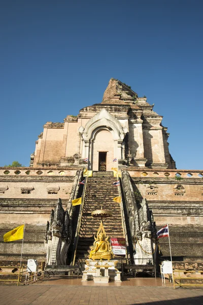 Wat chedi Luang in the city — Stock Photo, Image