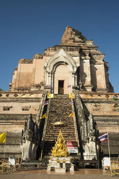 Wat chedi Luang en la ciudad — Foto de Stock