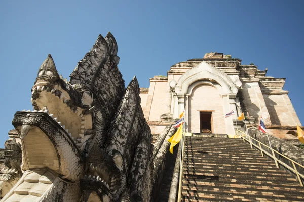 Wat chedi Luang in città — Foto Stock