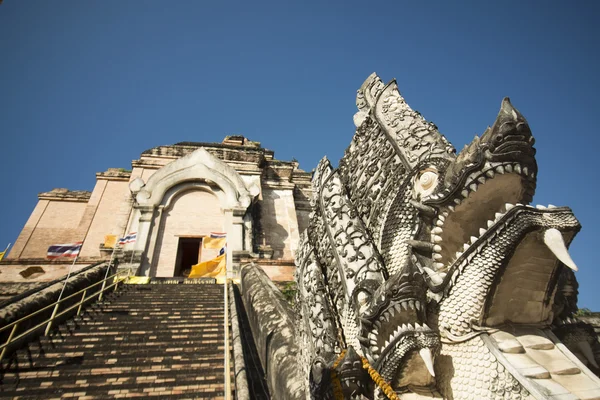 Wat chedi luang in der Stadt — Stockfoto