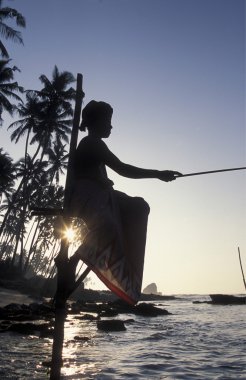 Weligama sahil, balıkçı