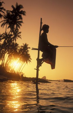 Weligama sahil, balıkçı