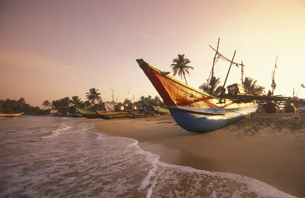 Dhoni Fishingboats op de kust van Nagombo — Stockfoto