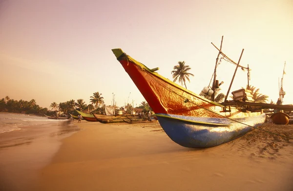 Dhoni Barcos de pesca na costa de Nagombo — Fotografia de Stock