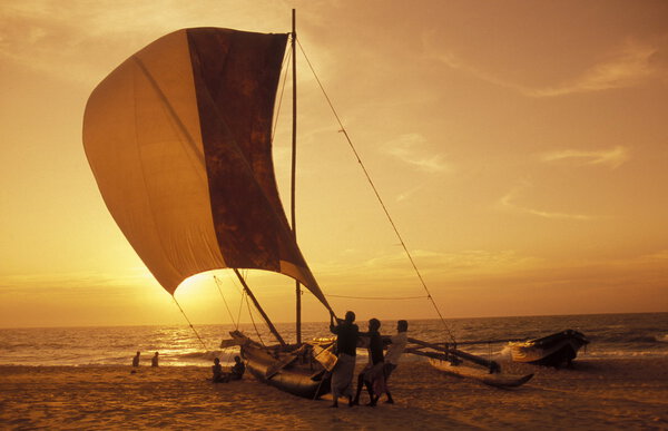 Dhoni Fishingboats at the coast of Nagombo