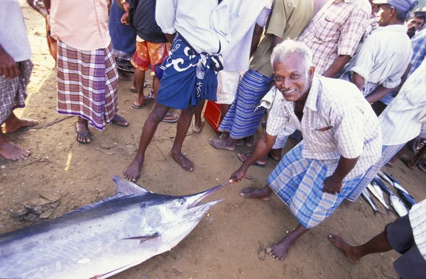 Fishermen at the coast of Negombo — Stock Photo, Image