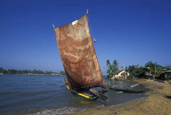 Barco de pesca Dhoni na costa de Nagombo — Fotografia de Stock