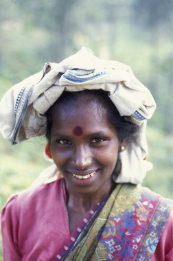 çay plantasyon Nuwara Eliya şehir