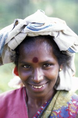 çay plantasyon Nuwara Eliya şehir