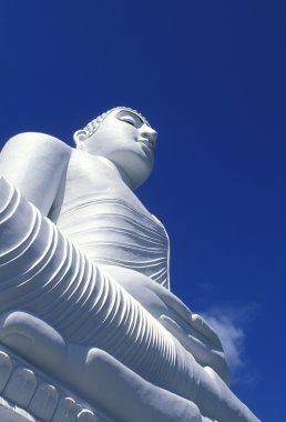 Kandy Tapınağı'nda Big Buddha
