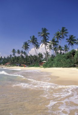 Hikaduwa sahil kumsalda