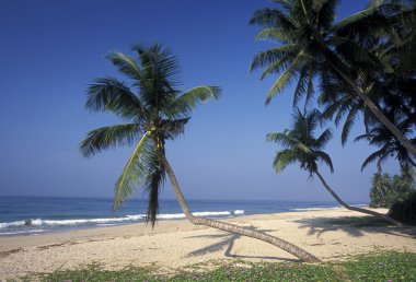 Hikaduwa sahil kumsalda