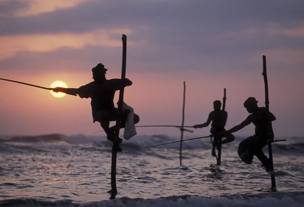 Weligama sahil, balıkçılar