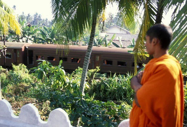 Monk på järnvägen fodrar — Stockfoto