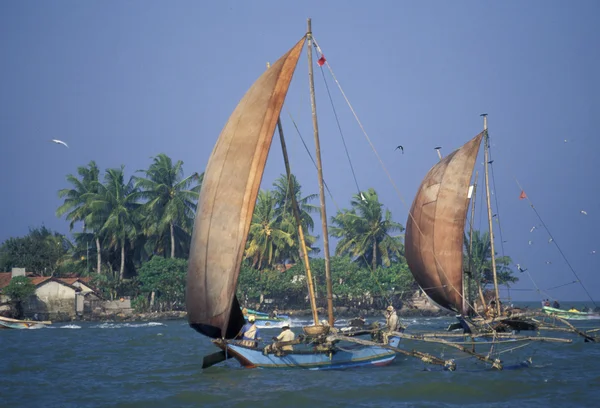 Dhoni Fishingboats op de kust van Nagombo — Stockfoto