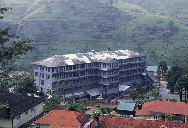 Fábrica de chá em Nuwara Eliya — Fotografia de Stock