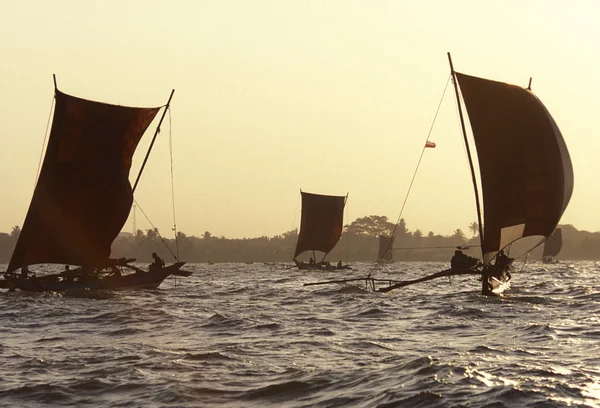 Pesquerías de Dhoni en la costa de Nagombo — Foto de Stock