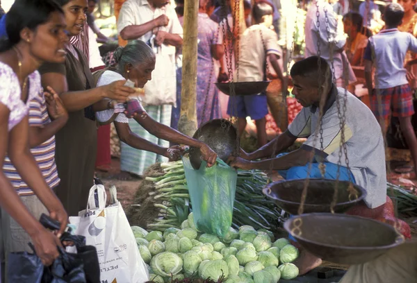 Рынок в городе Хиккадува — стоковое фото