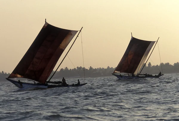 Pesquerías de Dhoni en la costa de Nagombo — Foto de Stock