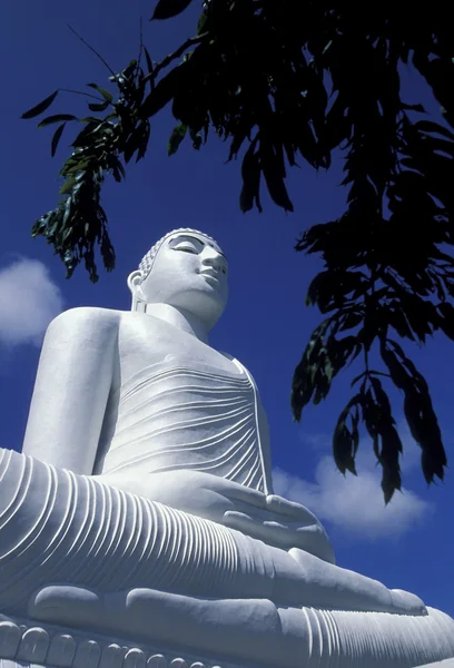 A nagy Buddha a Kandy-templom — Stock Fotó