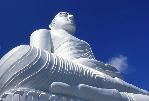 Kandy Tapınağı'nda Big Buddha — Stok fotoğraf