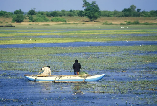 Pescatori sulla costa di Nagombo — Foto Stock