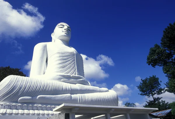 Den stora Buddhastatyn i Kandy templet — Stockfoto