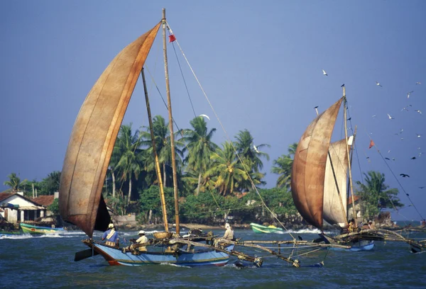 Dhoni Fishingboats at the coast of Nagombo — Stock Photo, Image