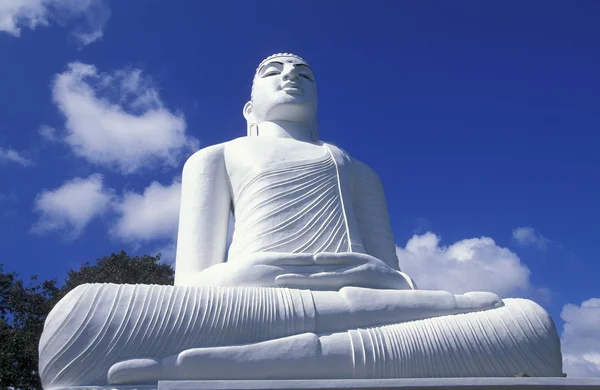 キャンディ寺大仏 — ストック写真