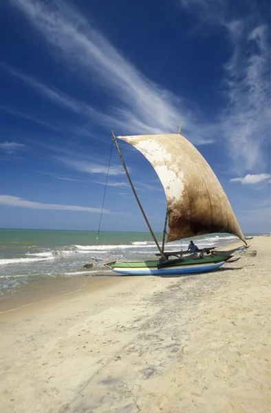 Dhoni Fishingboat op de kust van Nagombo — Stockfoto