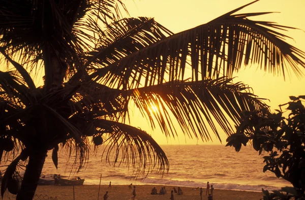 Una playa en la costa de Hikaduwa — Foto de Stock